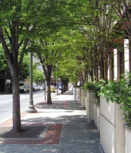 More Than Just A Pretty Trunk: How Street Trees Enhance Complete Streets | Michigan Complete Streets Coalition