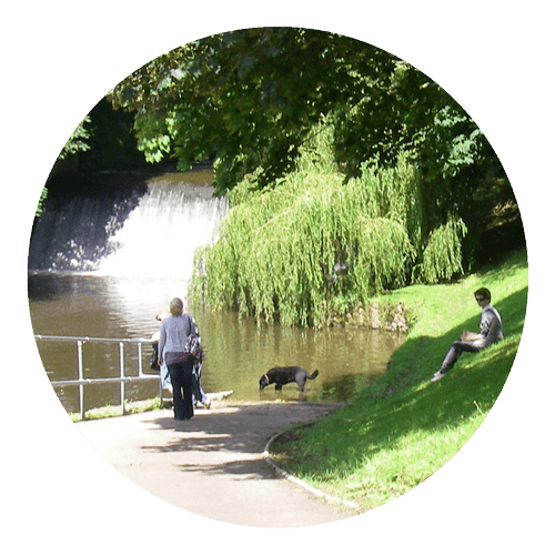 Link to River Sid website