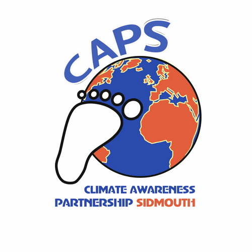 link to CAPS website