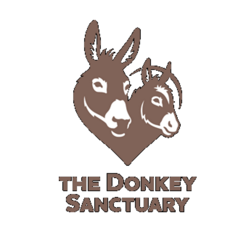 Link to the Sidmouth Donkey Sanctuary Sidmouth