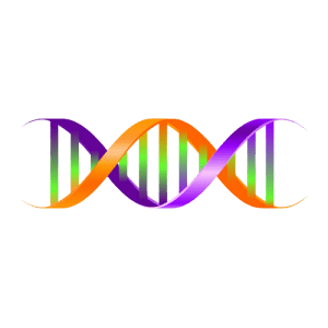 Link to the Sidmouth Science Festival website