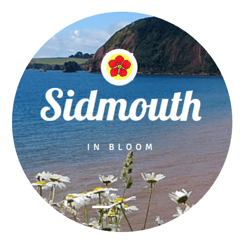Link to the Sidmouth in Bloom website